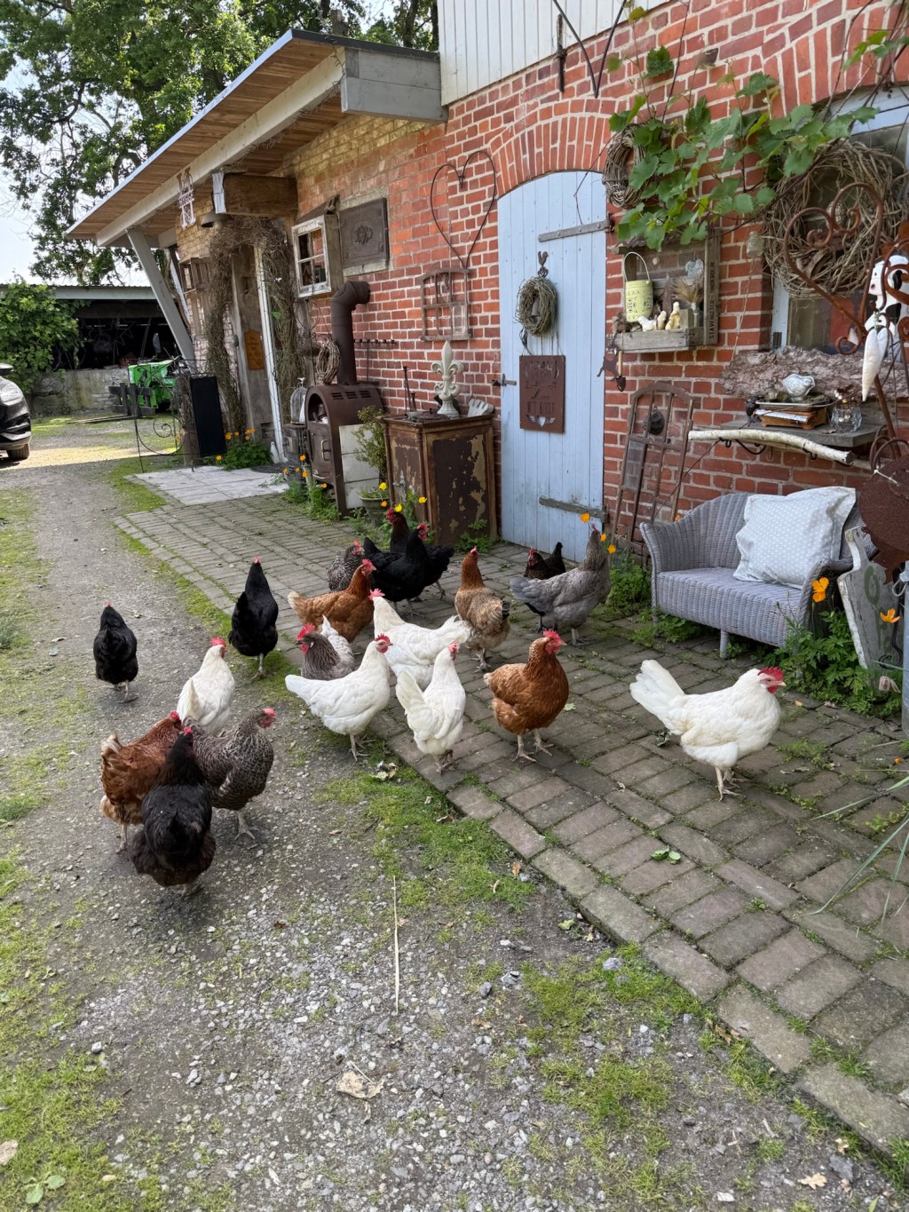 Geschützt: Auf großer&nbsp;Hamsterfahrt