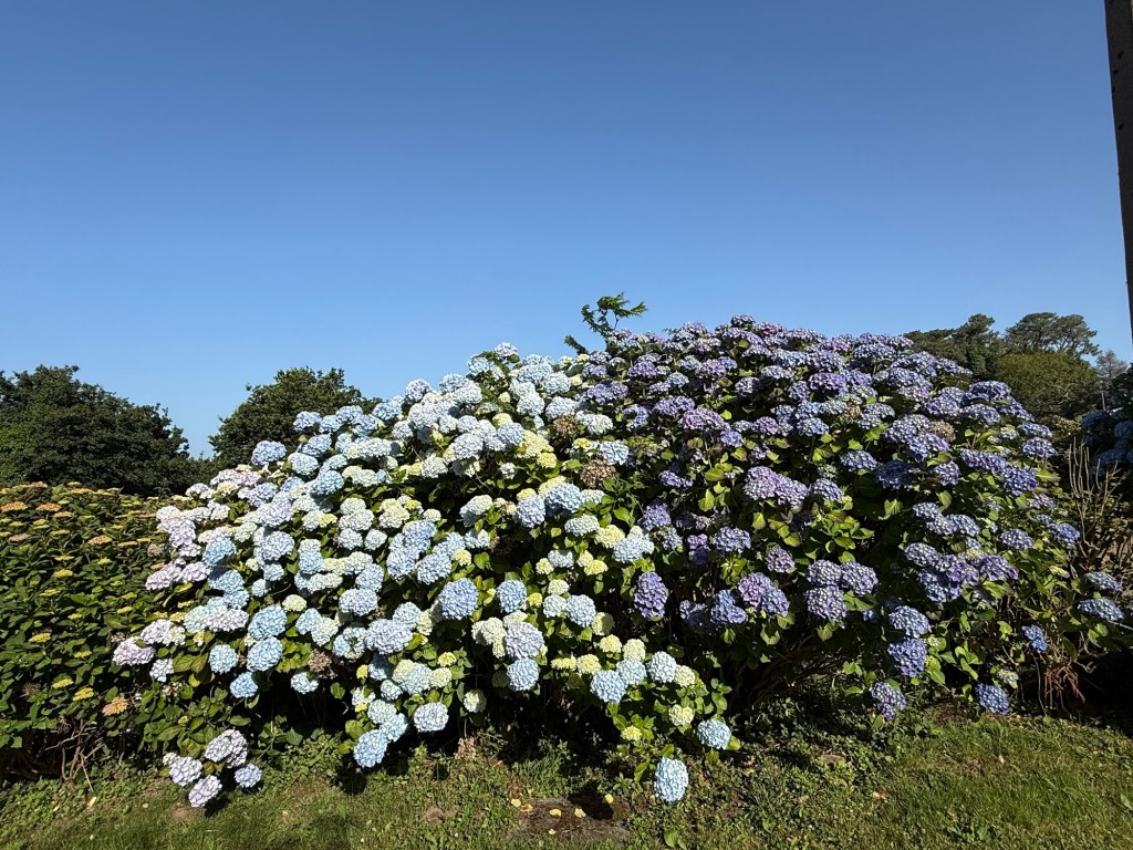 Begeisterung für Brot und&nbsp;Blumen