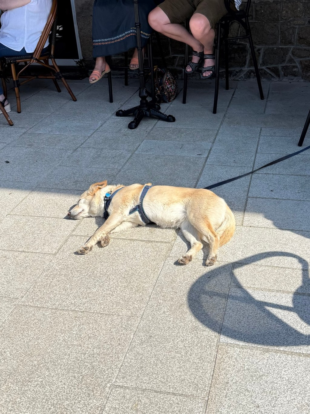 Hundstage
